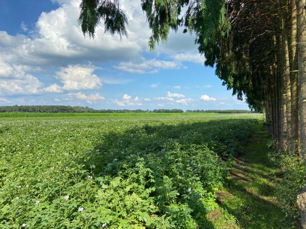 Appartamento De Koestal Odoorn Esterno foto